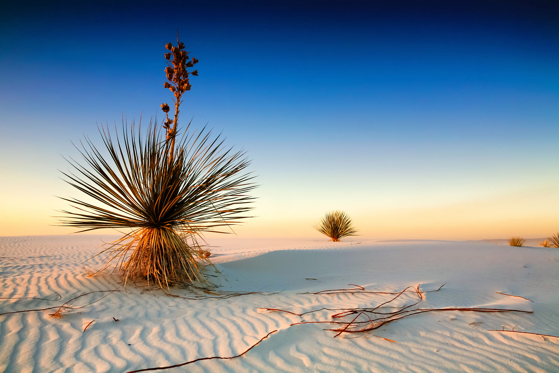 Tom DiMatteo Travel Photographer Austin Texas